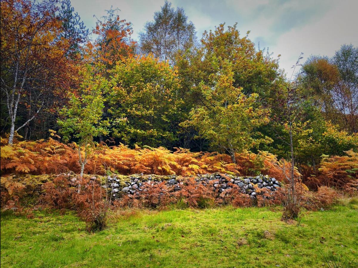 Tarmachan Cottage - West Highland Getaway フォート・ウィリアム エクステリア 写真