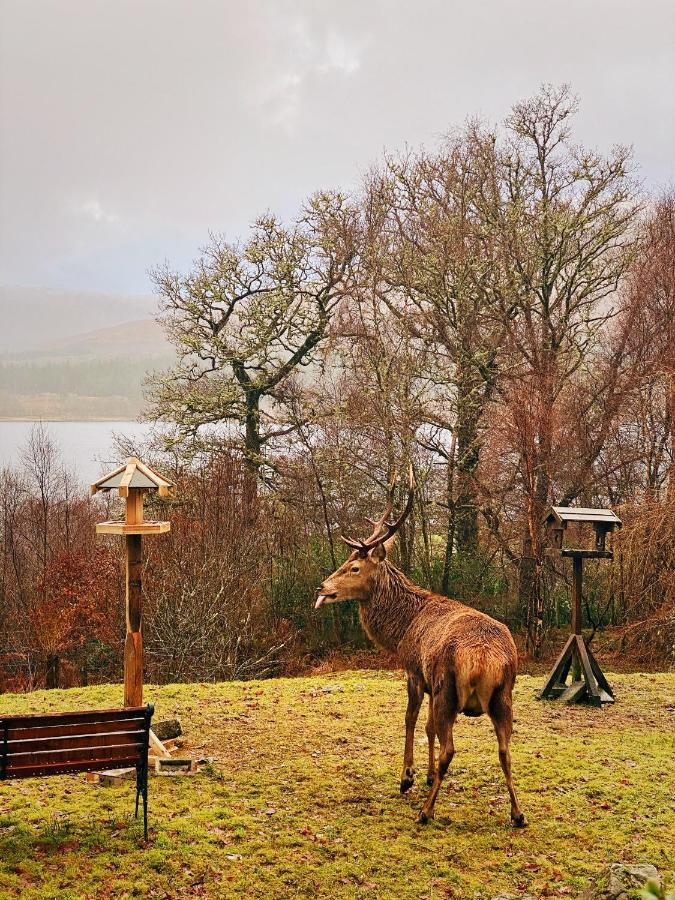 Tarmachan Cottage - West Highland Getaway フォート・ウィリアム エクステリア 写真